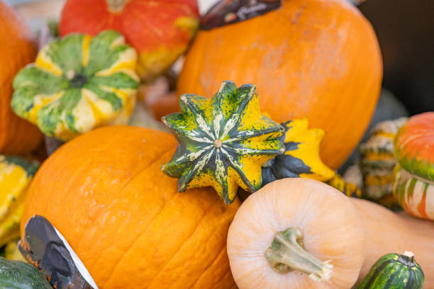 Halloween pumpkin in the store