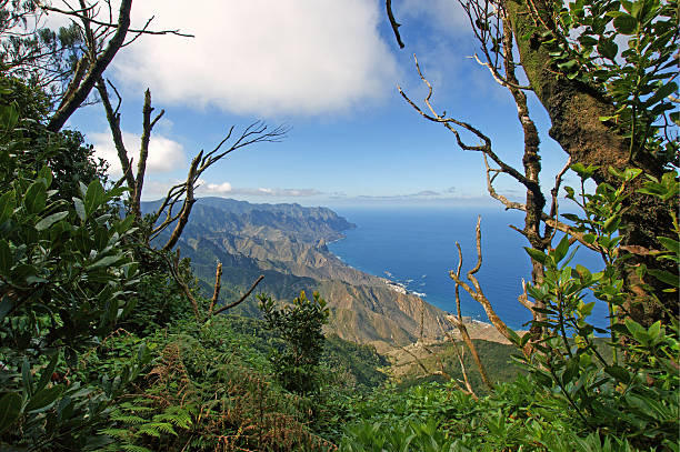 istock View from the Anaga Mountains 175460866