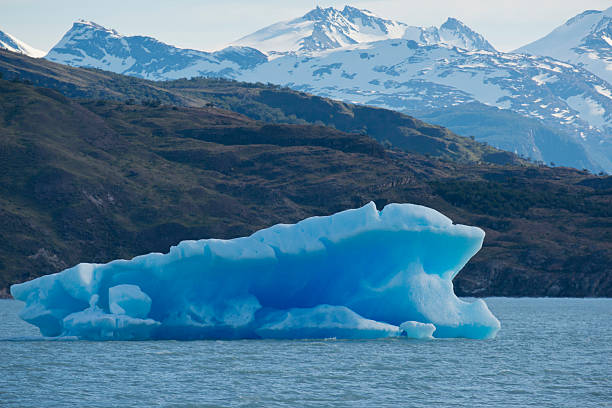 istock Iceberg floating on the Lake Argentino 175460981