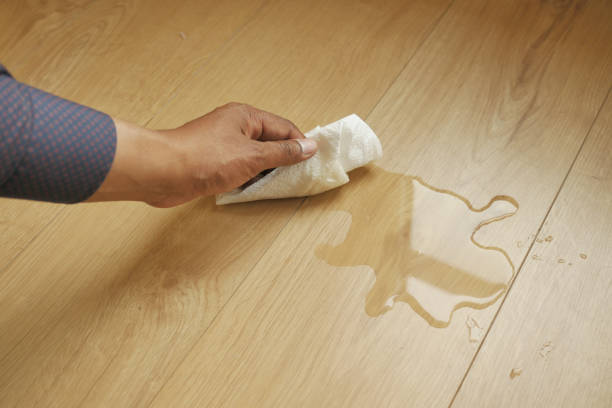 istock hand wiping spilled tea with paper napkin on floor , 1754622906