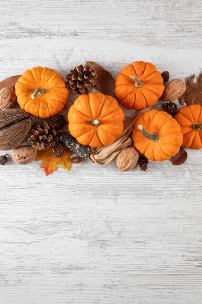 istock Happy Thanksgiving and Autumn Backgrounds 1754626754