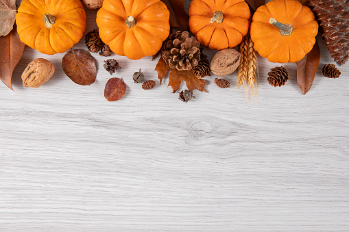 Top view of colorful gourds and fallen leaves on white wooden backgrounds
