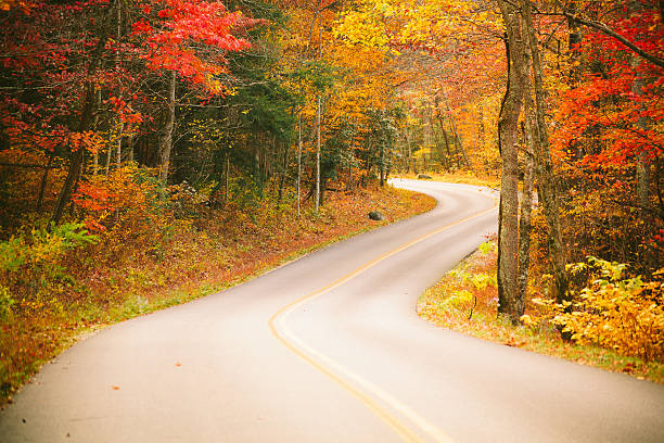 осенний сельская дорога в лесу - gatlinburg road winding road tennessee стоковые фото и изображения