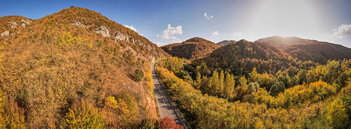 High angle view of a road through an autumn