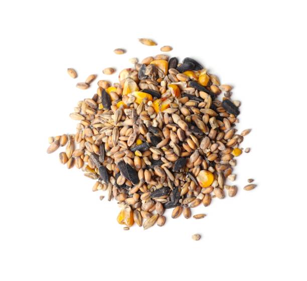 istock Pile of different vegetable seeds on white background, top view 1754648460