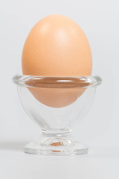 Egg stock photo