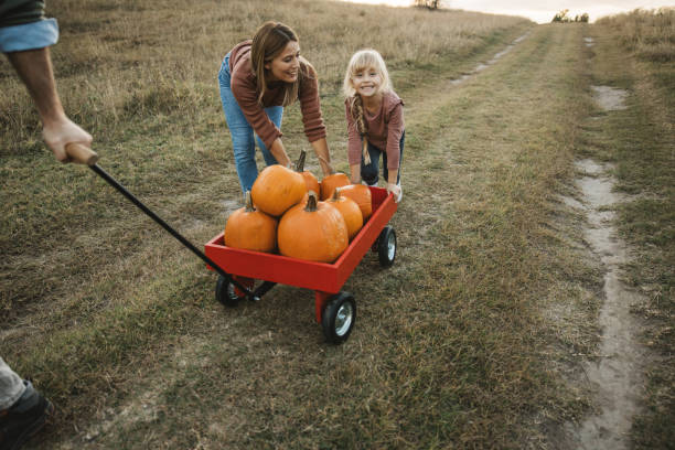 istock Young family at pumpkin patch 1754650272