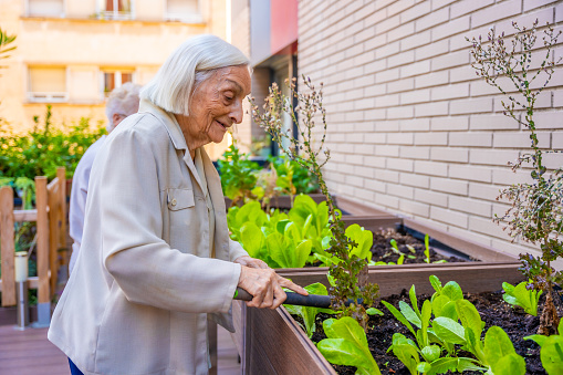 Profile photo of a cute senior woman cultivating plants in a garden in a geriatric