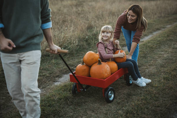 istock Young family at pumpkin patch 1754653152