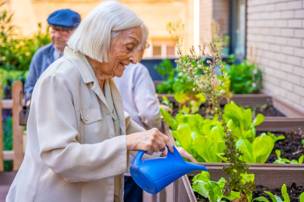 istock Three seniors watering a vegetable urban garden in a geriatric 1754656429