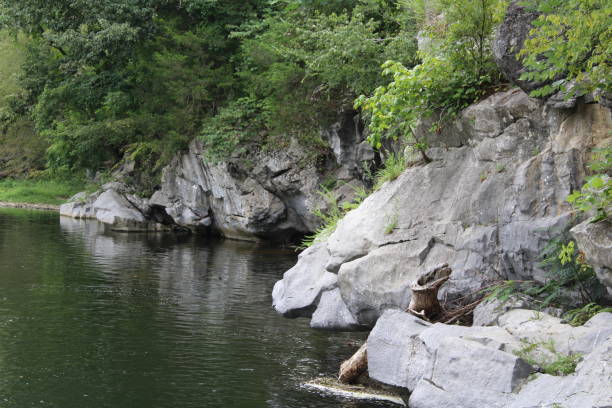 landschaft rund um einen bach in den ländlichen smokey mountains in pigeon forge, tennessee - waterfall stream river tennessee stock-fotos und bilder