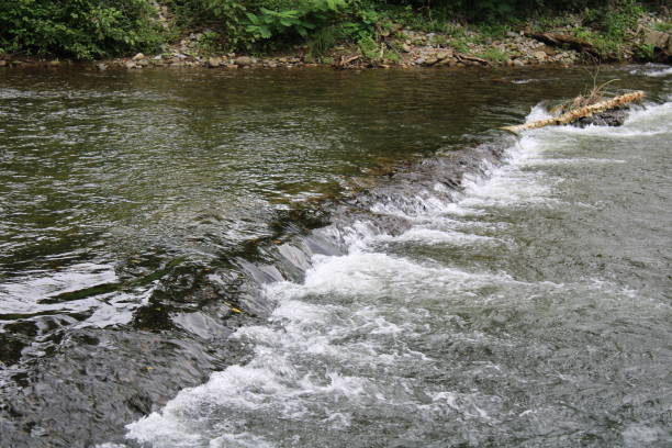 landschaft rund um einen bach in den ländlichen smokey mountains in pigeon forge, tennessee - waterfall stream river tennessee stock-fotos und bilder