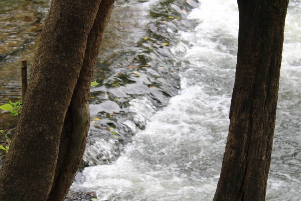 landschaft rund um einen bach in den ländlichen smokey mountains in pigeon forge, tennessee - waterfall stream river tennessee stock-fotos und bilder