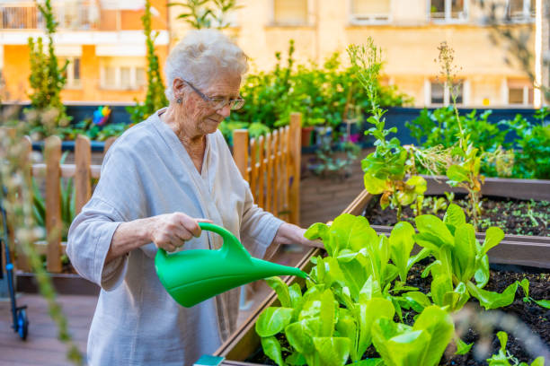 istock Senior watering plants in a garden at geriatric 1754665413