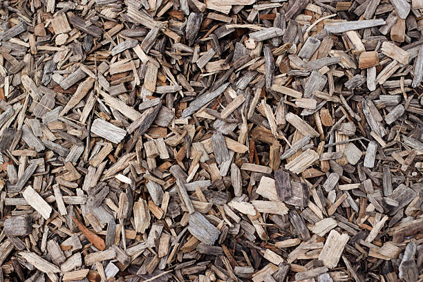 istock Background of wood chips 175469478