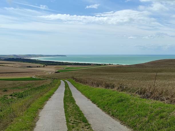 Path through the fields, hiking by the sea near Cap Blanc-Nez, Wissant, Pas-de-Calais, Hauts-de-France, France