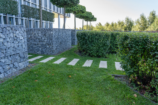 Gabion tree tubs made of wire and filled with stones, in recreation area near modern office building. Lawn and road surface from paving slabs in backyard with green hedge. Stepping tiles floor, strip line concrete pavement and green grass carpet lawn. Concrete paving with tiles and cut grass in park.