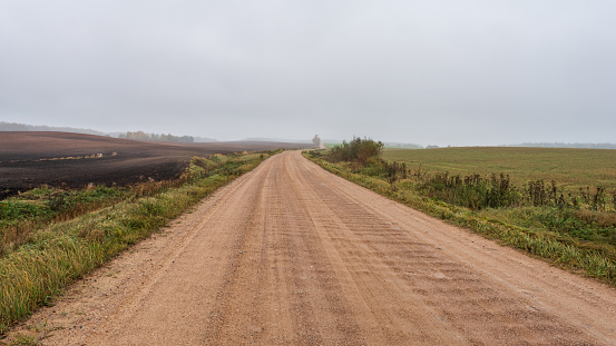 The wet sandy road stretches into the distance through agricultural fields. Gloomy cloudy autumn weather with haze on the horizon and rain