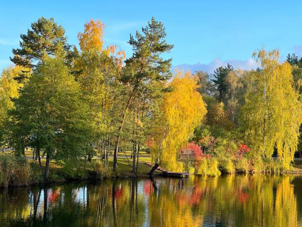 istock Autumn park landscape with trees and lake. 1754744007