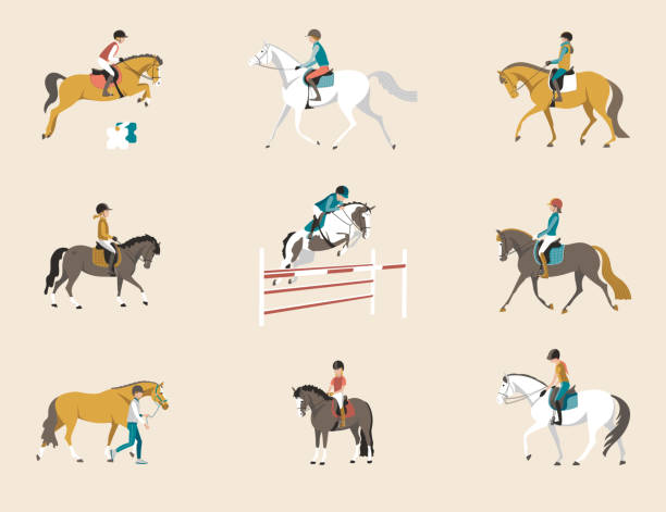 illustrations, cliparts, dessins animés et icônes de école d’équitation pour enfants, les enfants montent à cheval et poneys, illustration vectorielle - horseback riding illustrations