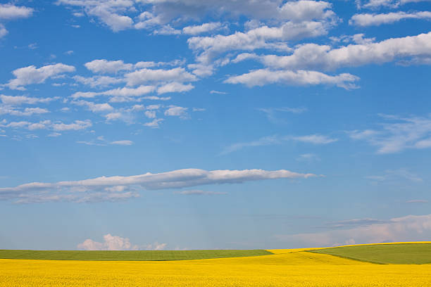 céu-da-pradaria - prairie wide landscape sky imagens e fotografias de stock