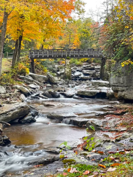 istock Autumn Leaves over a bridge and a river. 1754798231