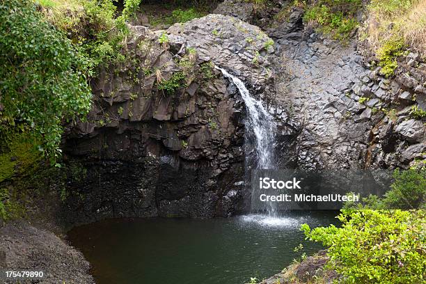 Hawaiian Rainforest Cascada Maui Foto de stock y más banco de imágenes de Aire libre - Aire libre, América del norte, Bosque