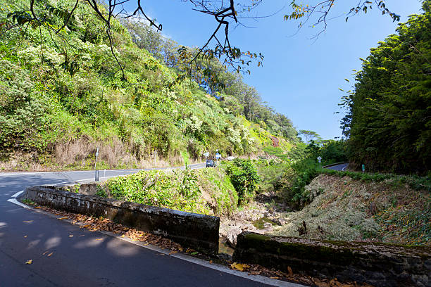 istock Road To Hana, Maui 175479901