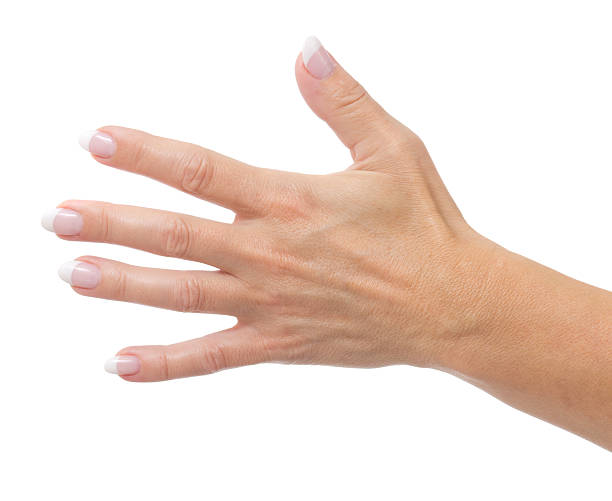 istock Woman hand with new nails on white 175480093