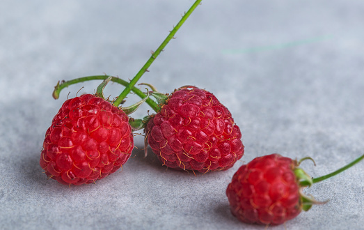 delicious and healthy red raspberry on a gray background