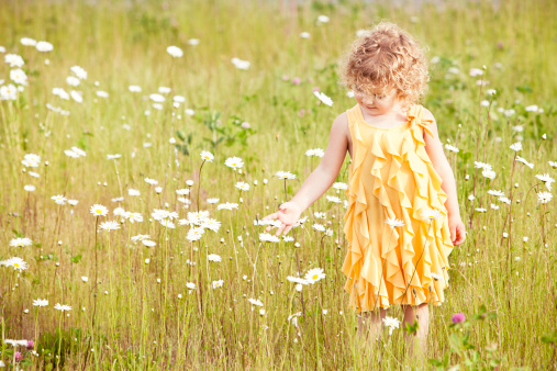Beautiful girl walking in a large open field of flowers. She is reaching for a flower. Very shallow depth of field.