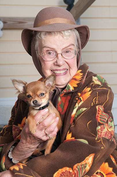 istock Senior woman holding chihuahua 175481813