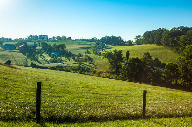 istock Summer Landscape of a Rolling Hillside 175482270