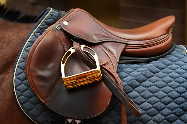 "A nice, shiny, brown leather english saddle on horseback. Canon Eos 1D Mark III."