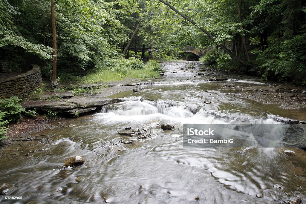 Wasserfall - Lizenzfrei Baum Stock-Foto