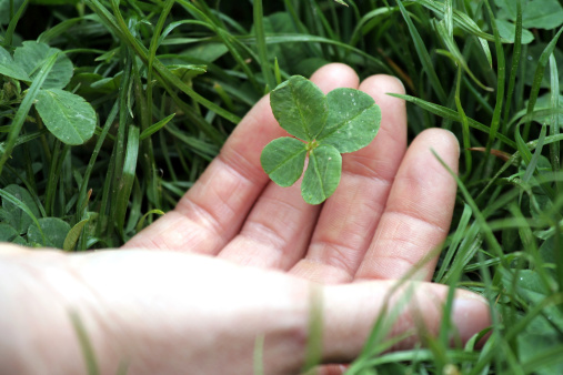Fingers holding a four leaf clover..For more aHandsai pictures click below: