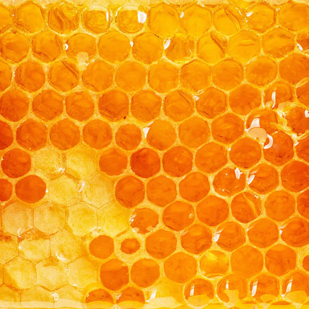 Honeycomb slice stock photo