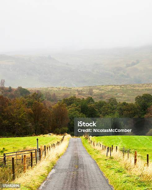 작은가 오요 Farm Road On 비 오는 날 수직분사 0명에 대한 스톡 사진 및 기타 이미지 - 0명, 가을, 관광