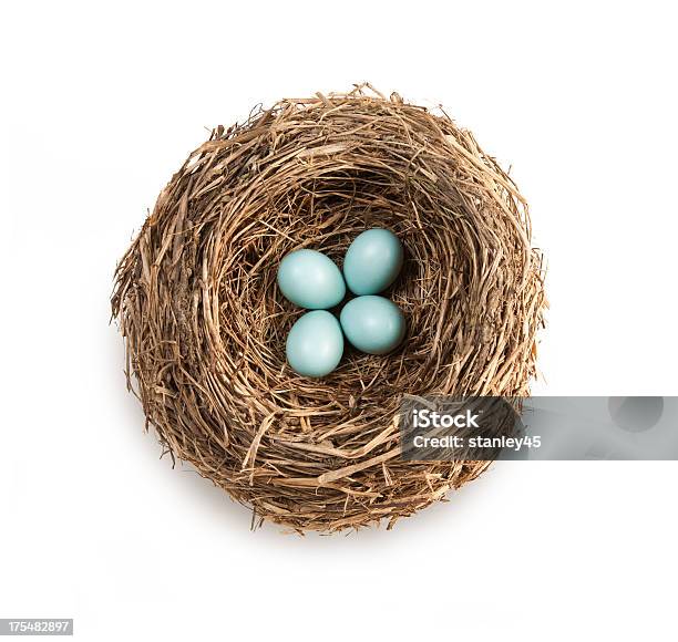 Bird S Nest Con Cuatro Azul Huevos Foto de stock y más banco de imágenes de Nido de animal - Nido de animal, Nido de pájaro, Recortable