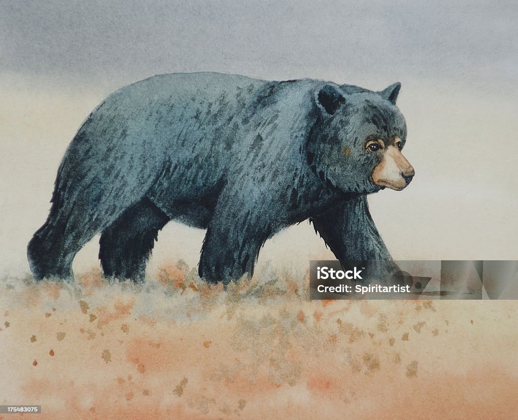 Urso preto caminhando - Ilustração de Urso royalty-free