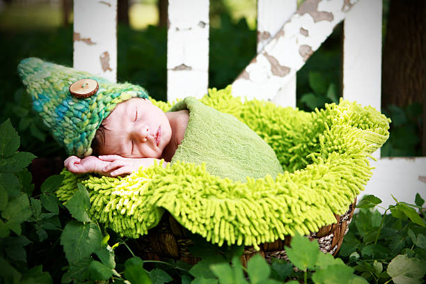 istock Newborn Baby Gnome Sleeping in Garden 175483141