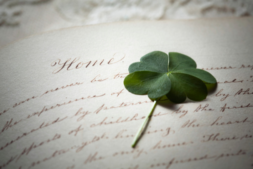 Pressed four leaf clover on page of 1800's diary with script writing about home
