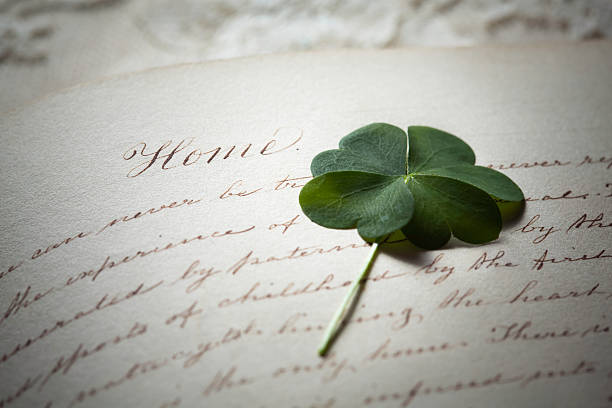 Four Leaf Clover in Old Diary Pressed four leaf clover on page of 1800's diary with script writing about home calligraphy photos stock pictures, royalty-free photos & images