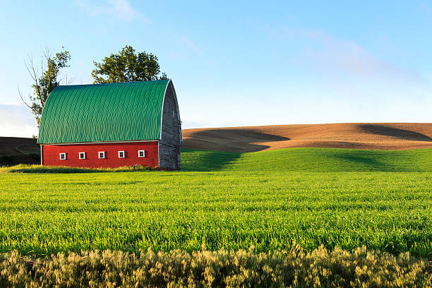 Red Barn and Field stock photo