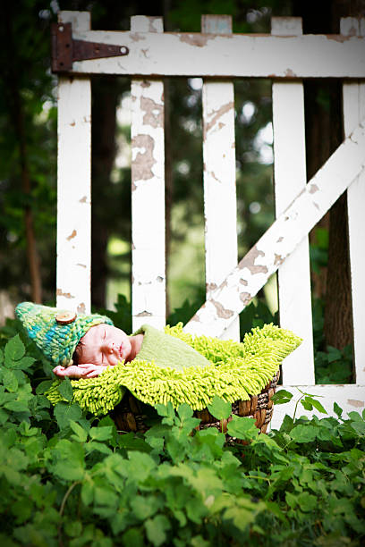 istock Newborn Baby Gnome Sleeping in Garden 175483452