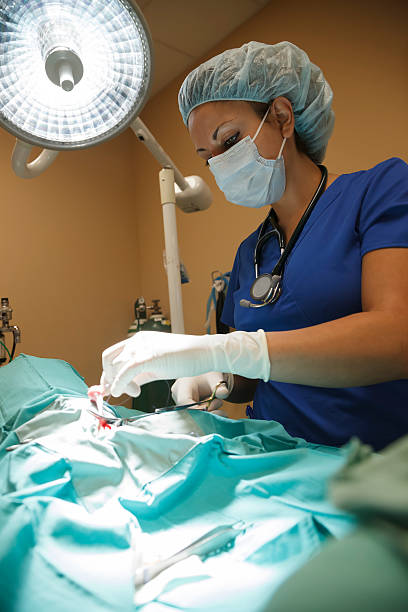 istock Female Veterinarian in Surgery 175484561