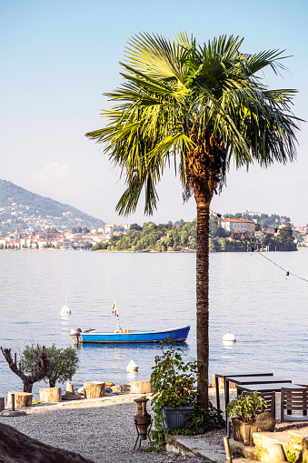 View of a palm tree on the shores of Lake Maggiore from Pescatori Island (Borromean Islands in Northern Italy, great lakes region)