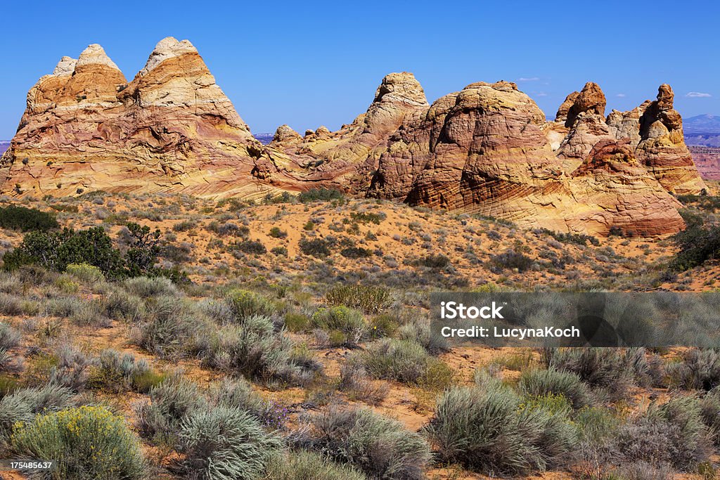 Desert-Landschaft - Lizenzfrei Arizona Stock-Foto