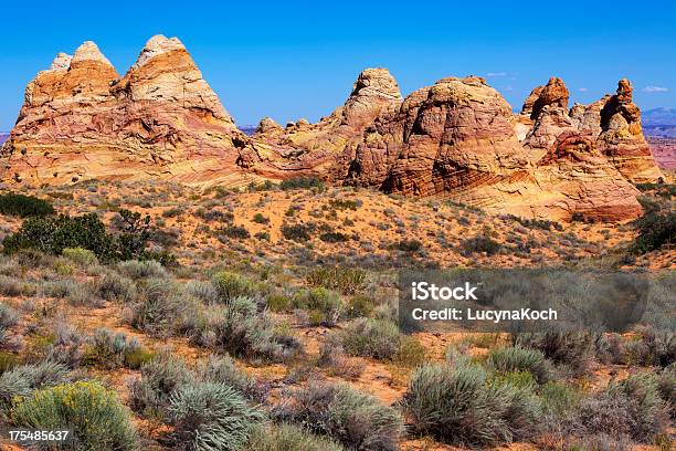 Desertlandschaft Stockfoto und mehr Bilder von Arizona - Arizona, Wüste, Amerikanische Kontinente und Regionen