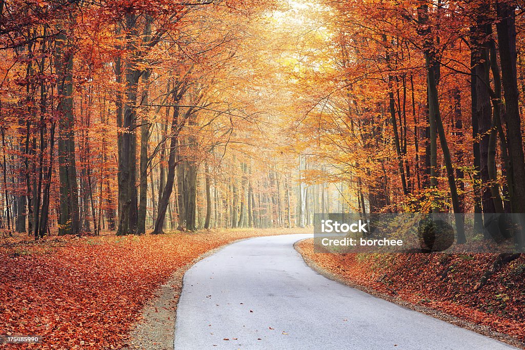 Herbst Road - Lizenzfrei Asphalt Stock-Foto